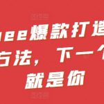 SHOPEE爆款打造核心运营方法，下一个大卖就是你
