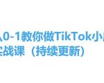 从0-1教你做TIKTOK小店实操课(持续更新)，手把手教你，简单易学