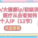 医疗IP/大健康IP/初级训练营：医疗从业者如何打造个人IP(12节)