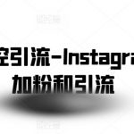 社交群控引流-INSTAGRAM批量加粉和引流