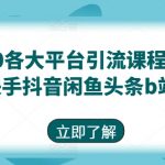 最新9.0各大平台引流课程(小红书快手抖音闲鱼头条B站)