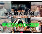 全网爆火的AI让老照片动起来教程，蹭热点日赚3K+，内含免费工具一键可生成【揭秘】