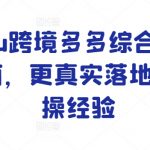 TEMU跨境多多综合运营指南，更真实落地的实操经验