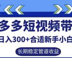 拼多多短视频带货日入300+有长期稳定被动收益，合适新手小白【揭秘】