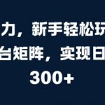 AI 助力，新手轻松玩转多平台矩阵，实现日入 300+