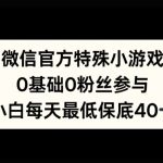 微信官方特定小游戏，0基础0粉丝，小白上手每天最少保底40+