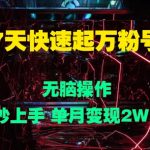7天快速起万粉号，无脑操作，秒上手 单月变现过W