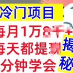 冷门项目，这个方法一定要学会，内部教程，每月1w(揭秘)