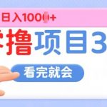 零撸项目3.0，多种收益方式单日收益几张