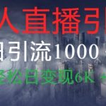 抖音快手视频号全平台无人直播引流1000+精准创业粉玩法拆解