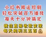 小红书搬运热门短剧，轻松爆流百万播放，每天引流几十人，搞个大几百块真的很简单