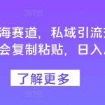 小红书蓝海赛道，私域引流交易，只需要会复制粘贴，日入几张