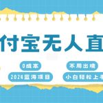 支付宝无人直播，0成本，2024蓝海项目，不用出境，小白轻松上手
