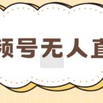 视频号做无人直播，月入一W