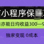 微信小程序保Z项目，独家变现，日均收益几张