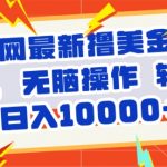 全网最新撸美金玩法，轻松无脑，暴力日入几张