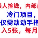 冷门项目，仅需动动手指，每月2W+内部教程，首次公开