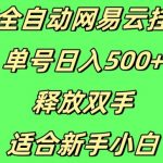 Ai全自动网易云云梯计划挂JI，单号日入5张，释放双手适合新手小白
