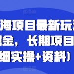 高德蓝海项目最新玩法，无限次掘金，长期项目(附详细实操+资料)