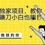 全网最新独家项目，教你如何成为镰刀小白也能日入上K