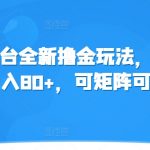 冷门平台全新撸金玩法，号称单机日入80+，可矩阵可放大