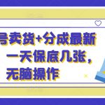 视频号卖货+分成最新玩法，一天保底几张，无脑操作