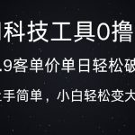 科技工具0撸玩法，9.9客单价单日轻松破k，小白轻松变大佬