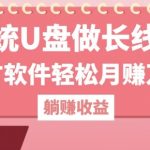 用系统U盘做长线项目，推广软件轻松月入过W