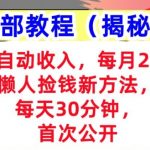 Ai自动收入，每月2W+懒人捡钱新方法，首次公开，每天30分钟，轻松上手