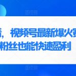 新手必看，视频号最新爆火赛道，0粉丝也能快速盈利