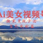 2024最新视频号AI美女跳舞视频玩法，当天见收益