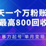 快手暴力起号，7天涨万粉，小白当天起号，多种变现方式，单月变现几个