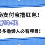支付宝全自动撸金，无需养机，当天落地3张，很适合零基础小白的兼职副业