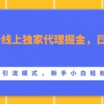 流量卡线上独家代理掘金，日入1k+ ，多种引流模式，新手小白轻松上手【揭秘】
