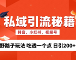 私域流量的精准化获客方法 野路子玩法 吃透一个点 日引200+ 【揭秘】