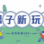 最新搭子玩法4.0-日引私域500+不违规