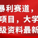 0成本暴利赛道，简单引流项目，大学生英语四六级资料最新玩法