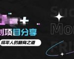 月入十个的网创项目分享，成年人的最快翻身之道