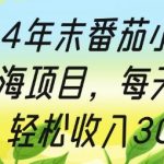2024年末番茄小说最新蓝海项目，每天十分钟，轻松收入3张