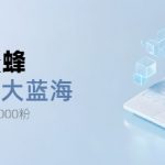 网易小蜜蜂，最新大蓝海项目，单日轻松日涨千粉