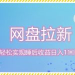 12月最新网盘拉新+私域全自动裂变，实现管道睡后收益，当天见效果