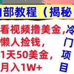 看视频撸美金，懒人捡钱，1天50美金，全自动收入，内部教程，首次公开