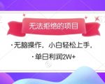 无法拒绝的项目，无脑操作，小白轻松上手，单日利润多张
