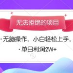 无法拒绝的项目，无脑操作，小白轻松上手，单日利润多张
