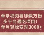 一条作品涨万粉，轻松上手，单月简单变现3000+