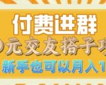 付费进群9.9交友搭子项目，熟练可矩阵操作，月收益过W