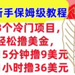 3个冷门项目，轻松撸美刀，1小时撸36刀，新手保姆级教程