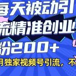 12月独家视频号引流每天被动引流精准创业粉200+不限流