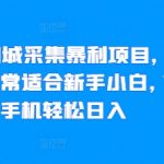 揭秘58同城采集暴利项目，无脑操作，非常适合新手小白，一部手机轻松日入