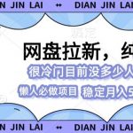 2024最强网盘拉新玩法，0基础可做，单月收入5000+